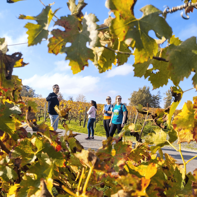 Bordeaux by Gravel Bike : Historic Center & Vineyards