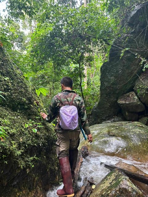 From Chiang Mai: Doi Saket Hiking Tour With Lunch - Key Points