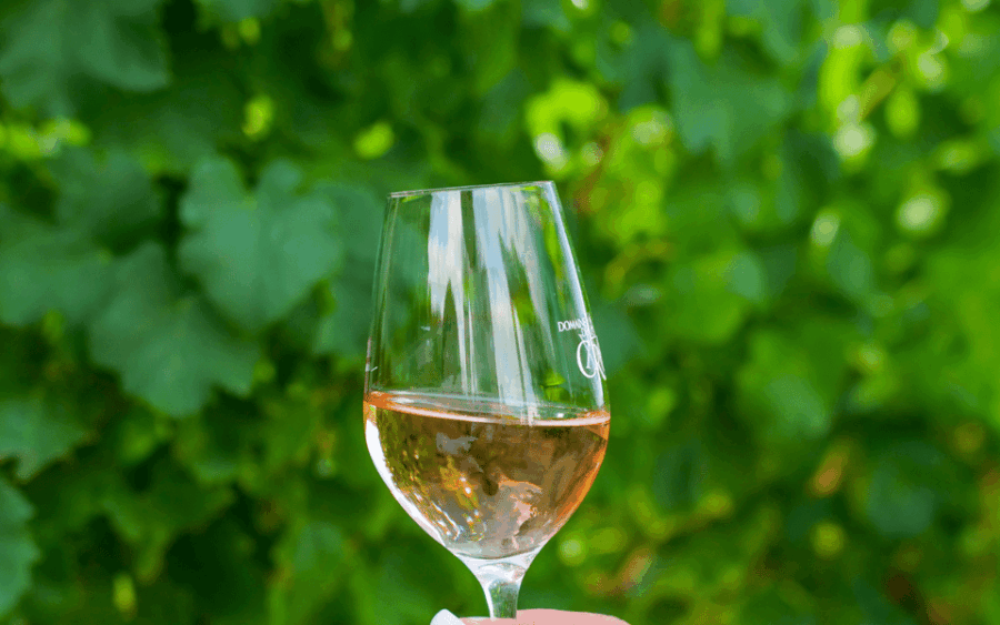 Saint-Tropez: Small Group Wine Tour - Tour Overview