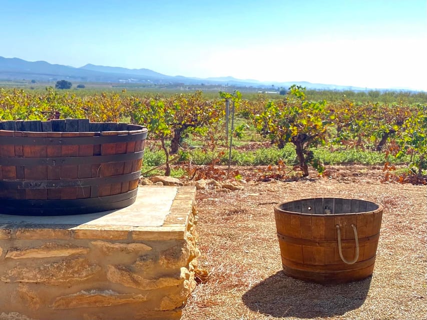 4-Days Wine Trip to Valencia & Requena! 16/9 – 20/9 – 2025