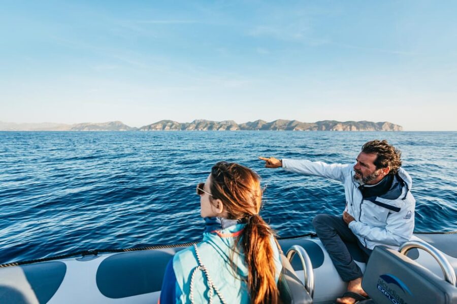 Alcudia or Can Picafort: Dolphin-Watching Tour, Small Group - Tour Overview