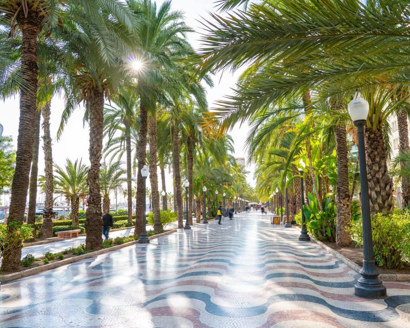All Alicante With Castle, Market and Tapas. Semi-Private Tour