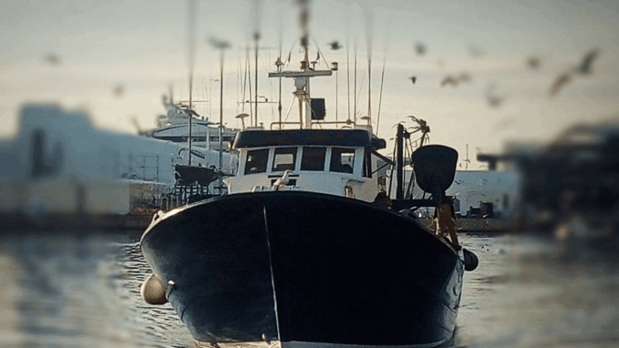 Barcelona Fishermens Guild Guided Tour
