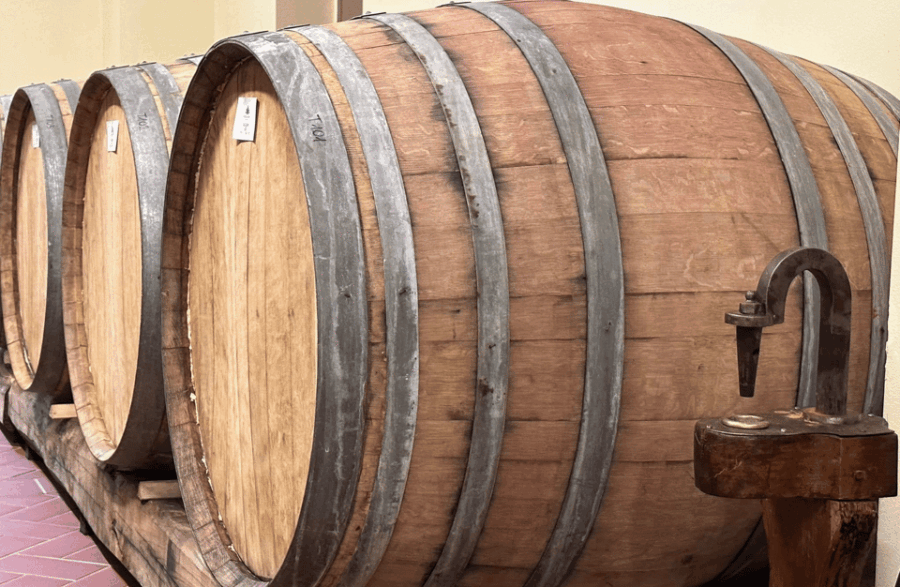 Boutique Winery Visit & Wine Tasting Near Arezzo