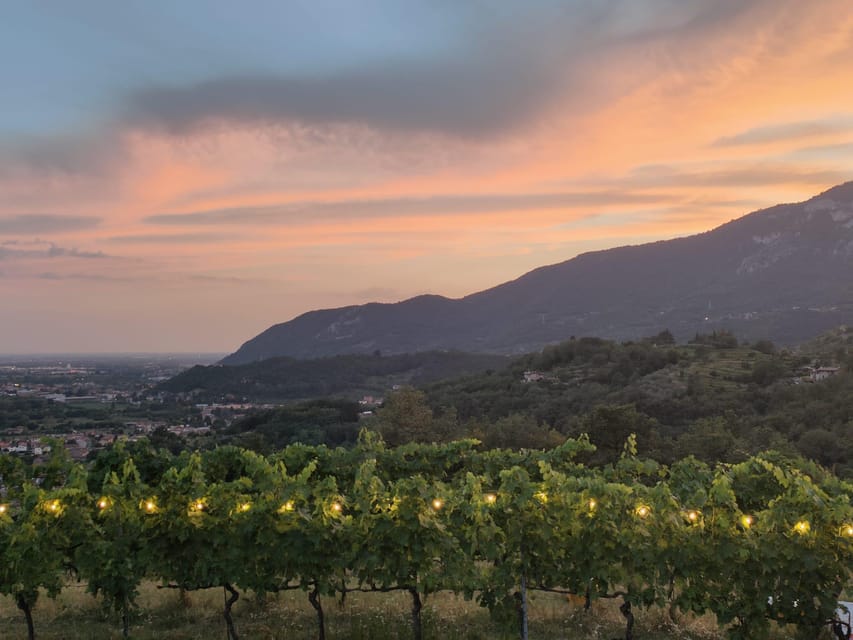 Brescia: Day Trip to Botticino With Wine Tasting at Noventa