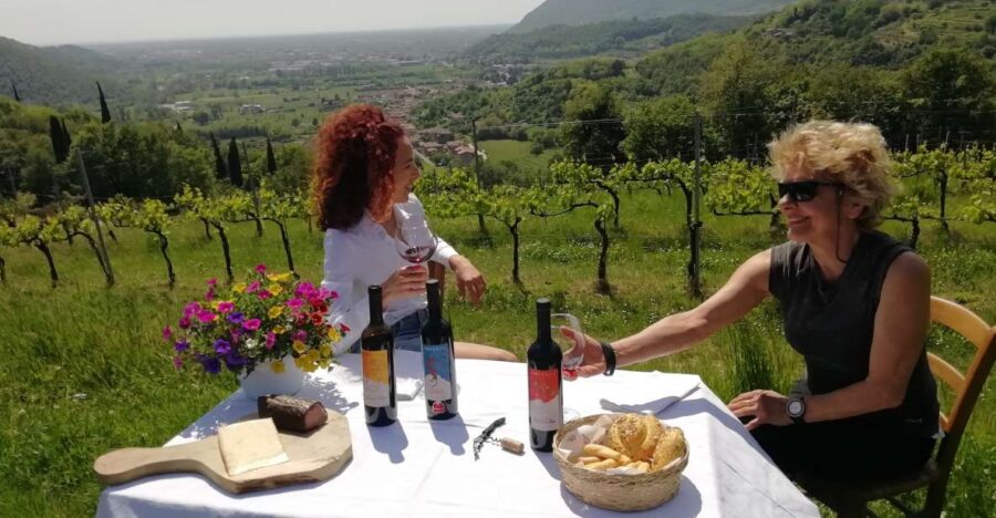 Brescia: Day Trip to Botticino With Wine Tasting at Noventa