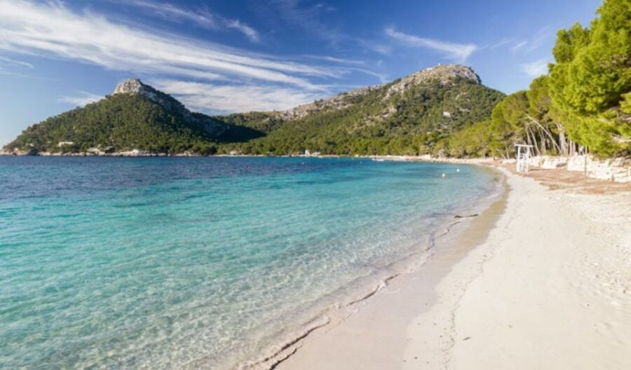 Can Picafort or Alcudia: FORMENTOR BEACH