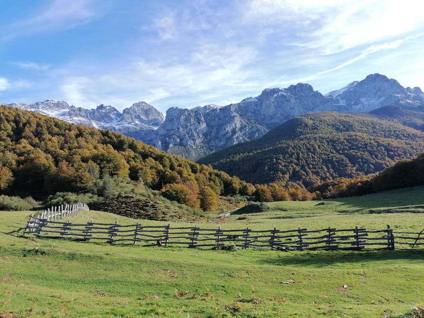 Cangas De Onís: Route in Vegabaño Forest With Lunch in a Mountain Refuge.