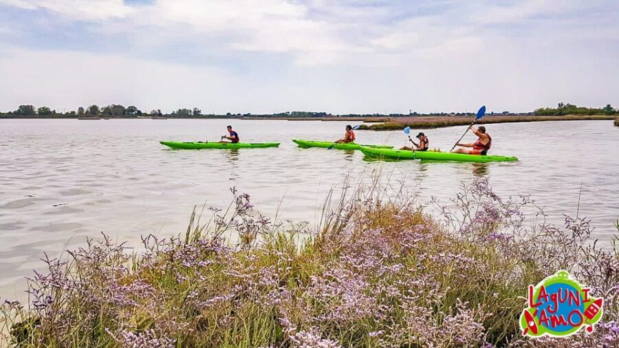 Cavallino-Treporti: Short Kayak Tour in the Venetian Lagoon