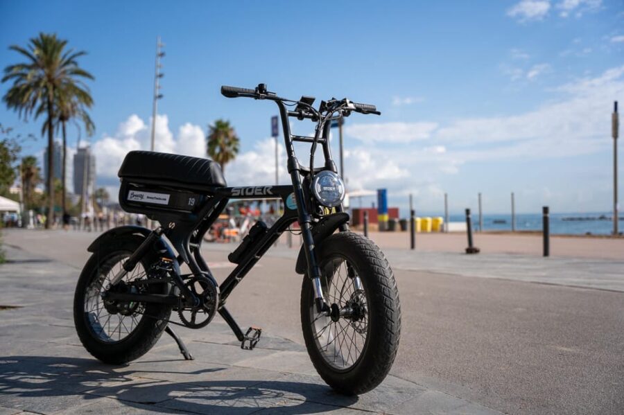 City Highlight Tour on a Luxury (electrical) Fatbike