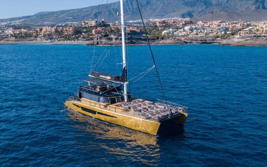 Costa Adeje: Whale Watching Cruise With Snack and Drinks