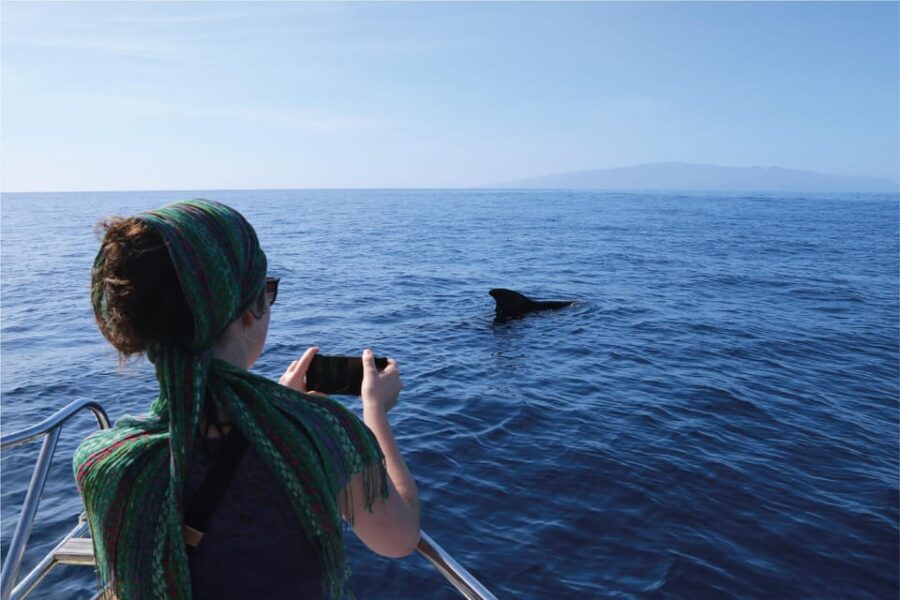 Costa Adeje: Whale Watching Eco Experience With Hydrophone.