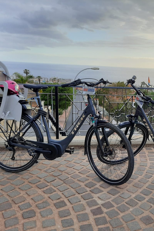 Electric City Bike Rental With Hotel Delivery - Overview of Electric City Bike Rental