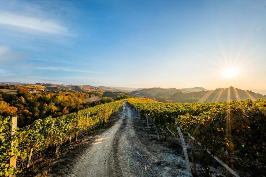 Explore & Savor: Dynamic Wine Tasting at Cantina Moscone