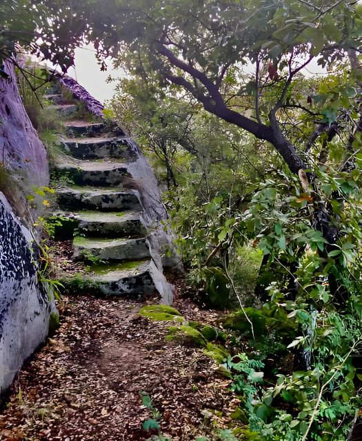 Explore the Murgia Materana UNESCO Park (Italian & Spanish)