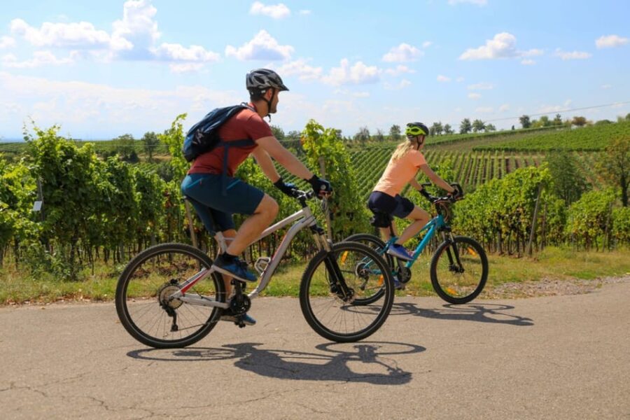 Florence: Fiesole E-Bike Tour With Olive Oil Tasting