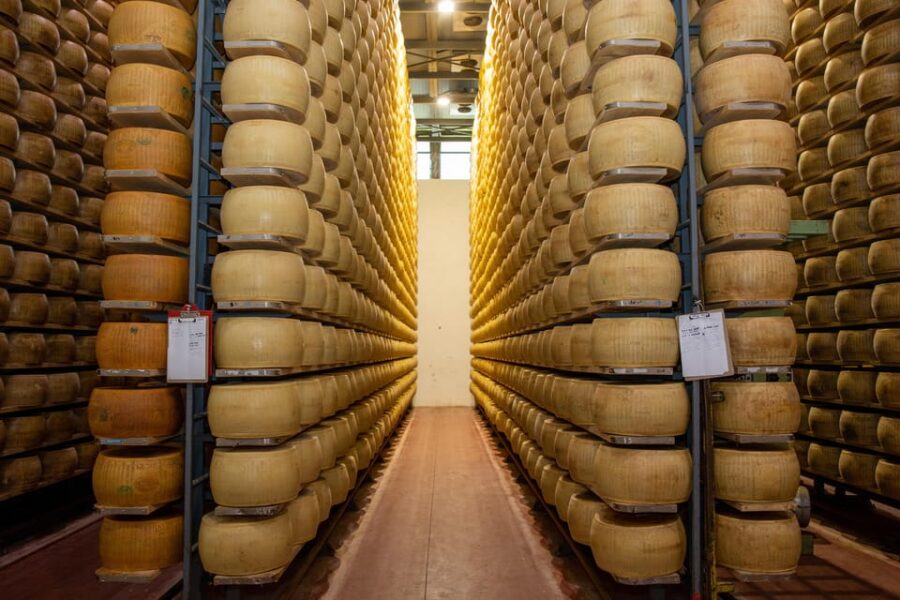 Formigine: Parmesan Cheese Tour With Full Tasting
