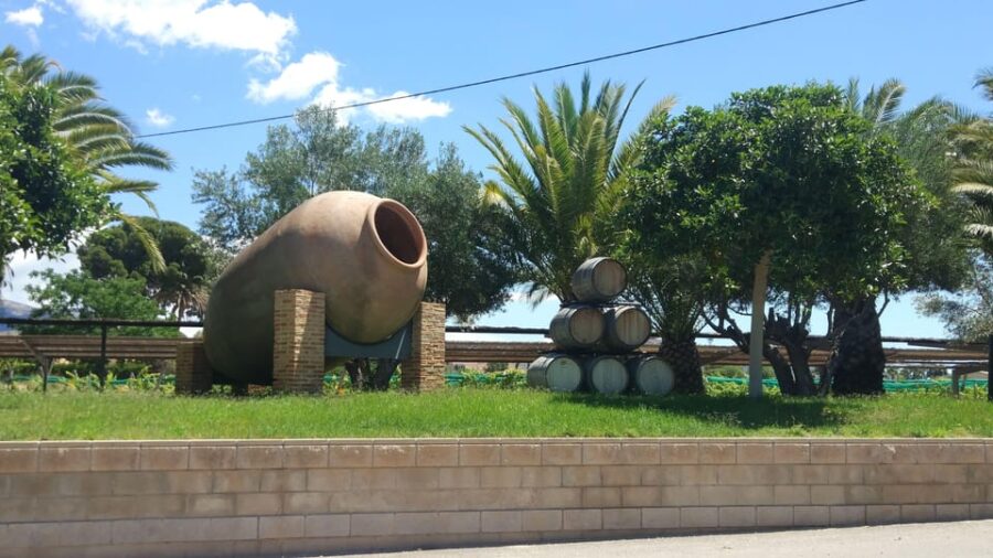 From Alicante and Elche: Guided Tour to Vineyard and Winery With Tasting. - Tour Overview and Details