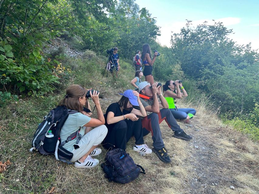 From Gijón, Oviedo or Pola De Somiedo: Brown Bear Spotting