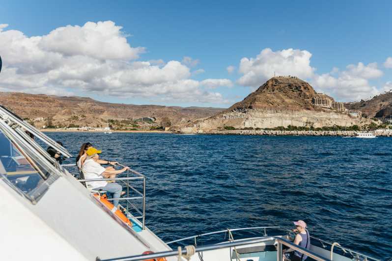 From Las Palmas: Highlights of Gran Canaria Day Tour