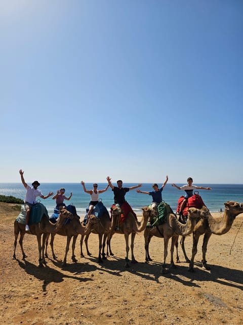 From Malaga: Gibraltar and Tangier Private Day Trip - Trip Overview and Pricing