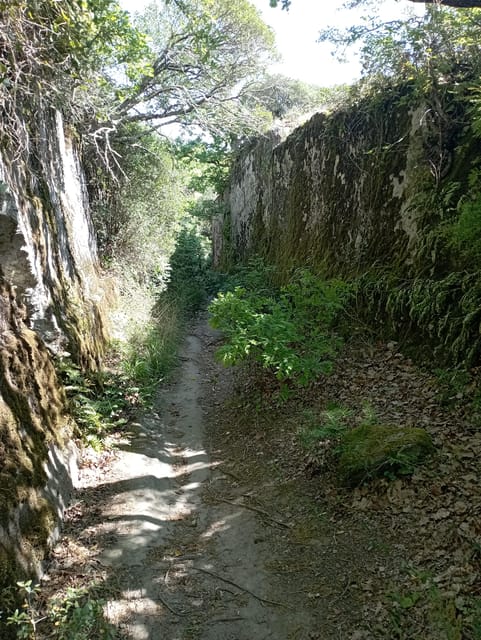 From Mugnano: the Etruscan Pyramid and Santa Cecilia - Tour Overview and Details