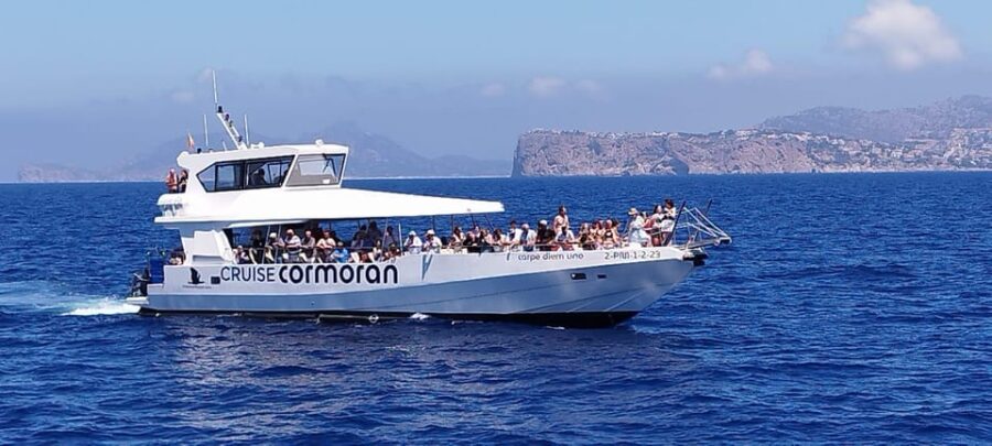 From Palma: Afternoon Dolphin-Watching Boat Tour