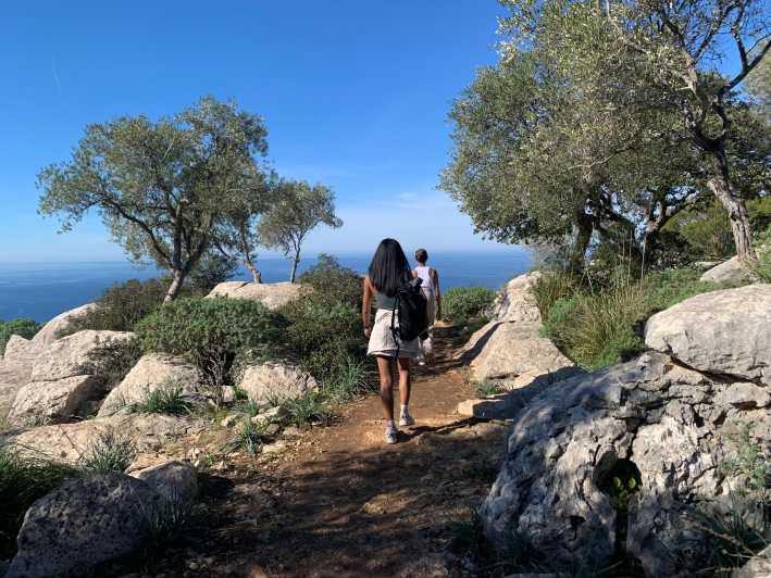 From Palma: Valldemossa Tour and Mountain Viewpoint Hike