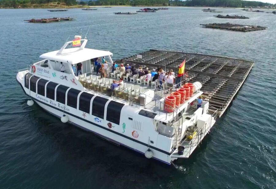 From Santiago: Tour to Rias Baixas With Boat Trip and Winery