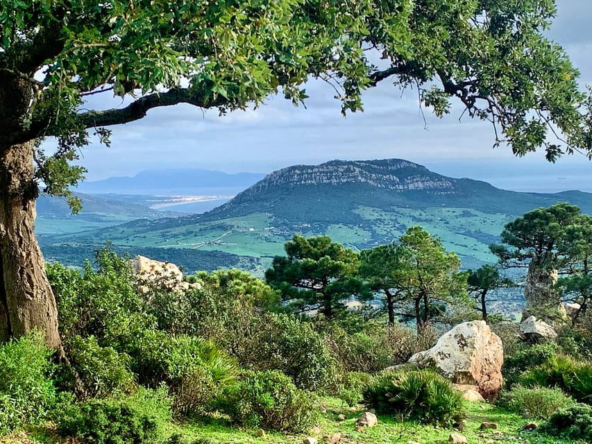 From Tarifa: Guided Hiking Tour in the Strait Natural Park