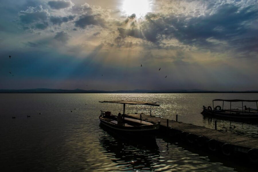 From Valencia: Albufera Boat Ride & Food (Paella) Included - Tour Overview and Pricing