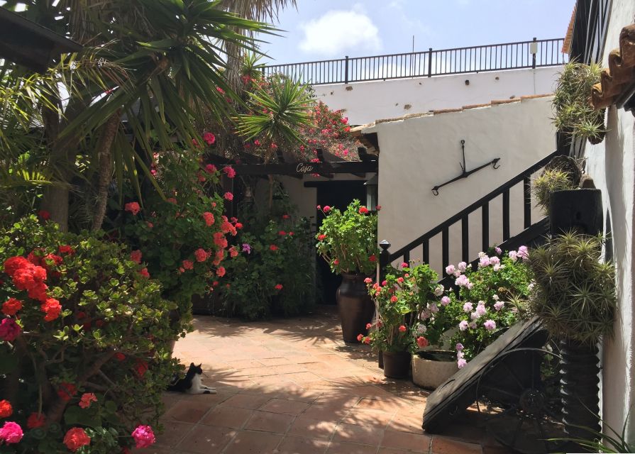 Fuerteventura: Full Day Tour With Lunch