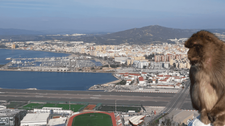 Gibraltar: Guided Tour From the Costa Del Sol - Tour Overview and Pricing