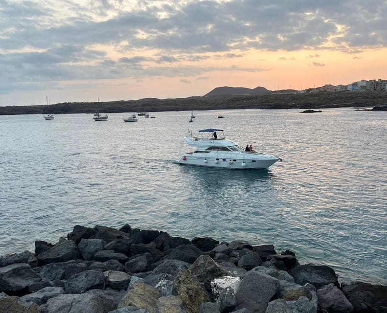 Gourmet Cruise at Sunset With Whale Watching