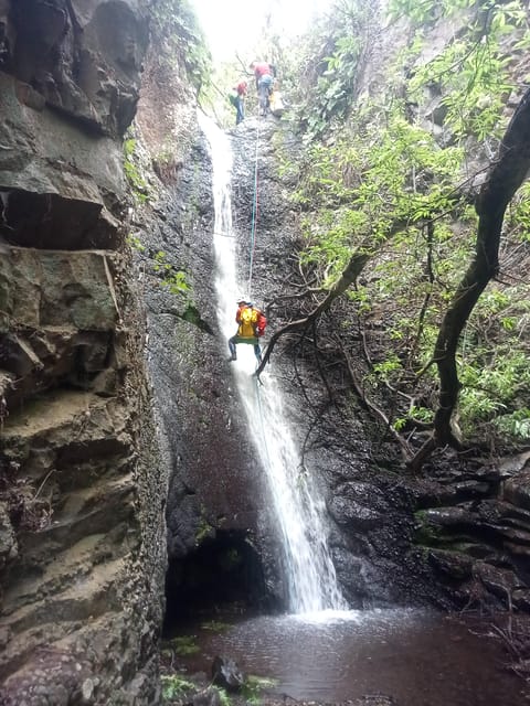 Gran Canaria: Canyoning Adventure in the Green Heart Jungle
