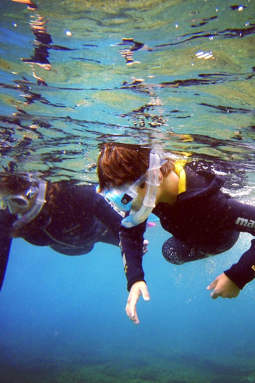 Guided Snorkelling Experience in South of Gran Canaria