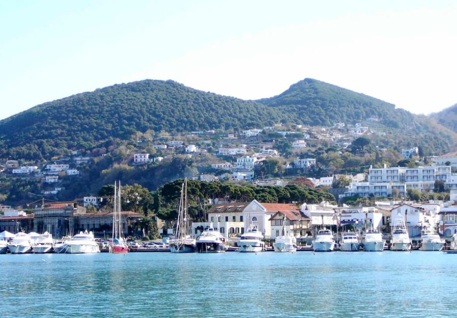Ischia: Volcano Minibus Tour