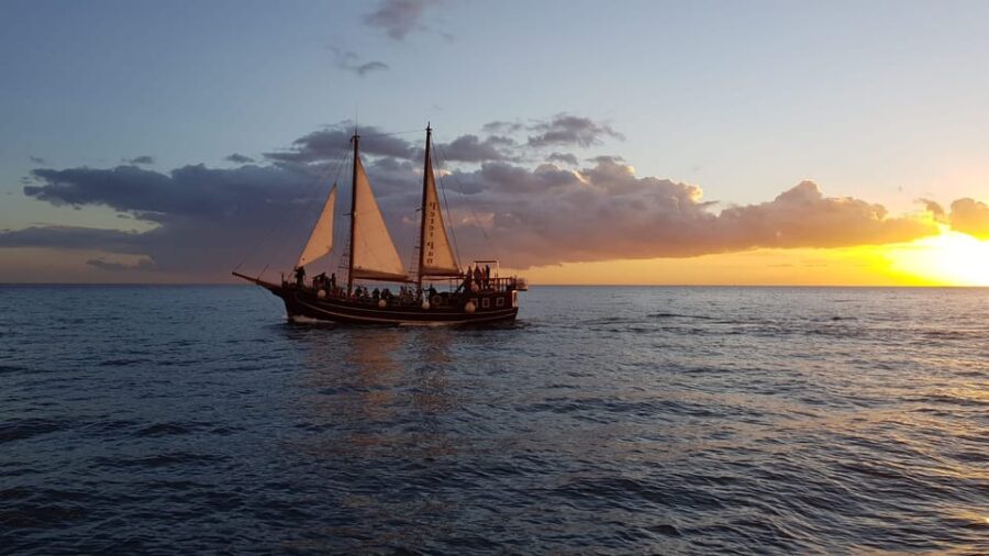 Los Cristianos: Whale-Watching Sailboat Tour 3 Hrs and Food. - Tour Overview and Pricing