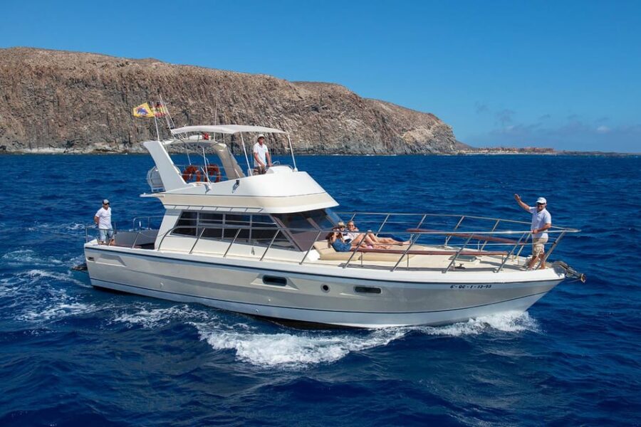 Los Cristianos: Whale Watching Tour With Swimming and Lunch on a Yacht for 22 Passengers