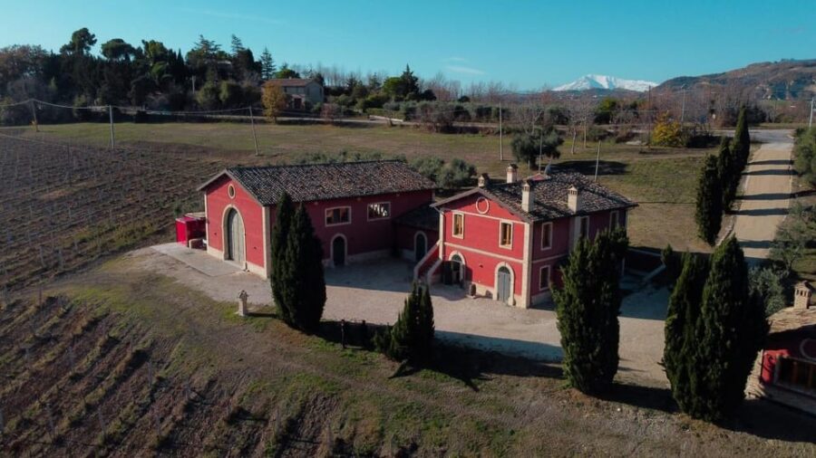 Marche: Unique Visit and Tasting at Derasmo Winery Among Signature Wines