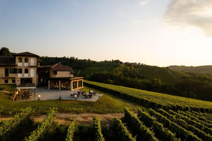 Monforte Dalba: Barolo Tasting, Vineyard & Cellar Visit