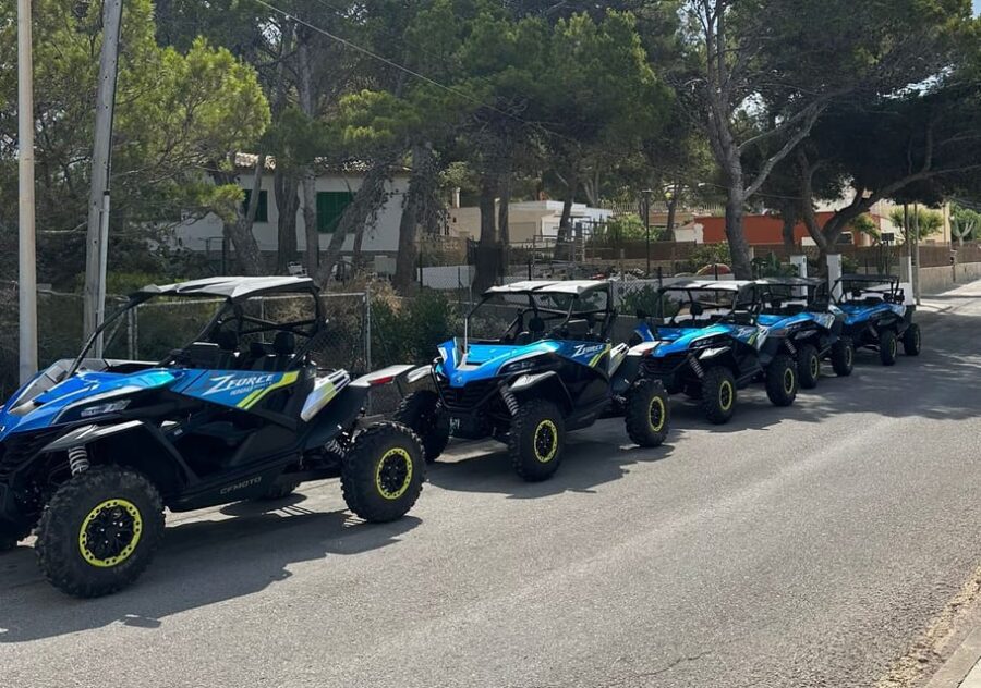 Paguera: 2 Hour Buggy Tour - Tour Overview