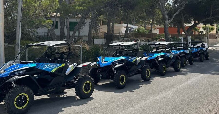 Paguera: Malgrats Island and Sant Elm Buggy Tour