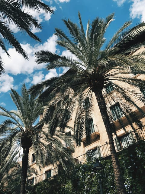 Palma: History & Beauty Eco-Friendly E-Scooter Tour - Tour Overview