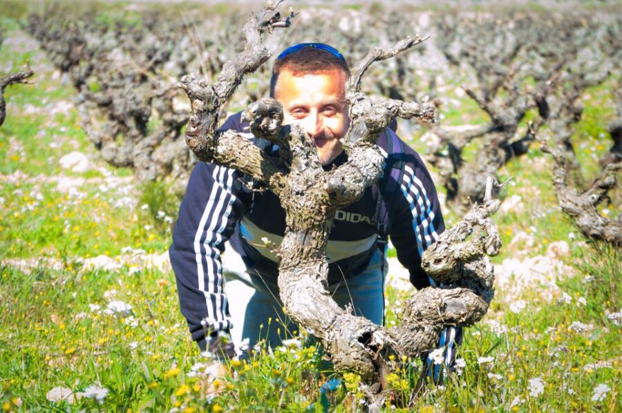 Penedès/Bcn: Self-Guided Ebike Tour With Guided Winery Visit