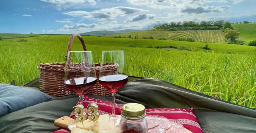 Picnic in the Organic Vineyards of Brunello