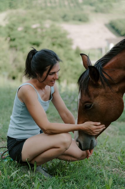 Playful Activities With Animals