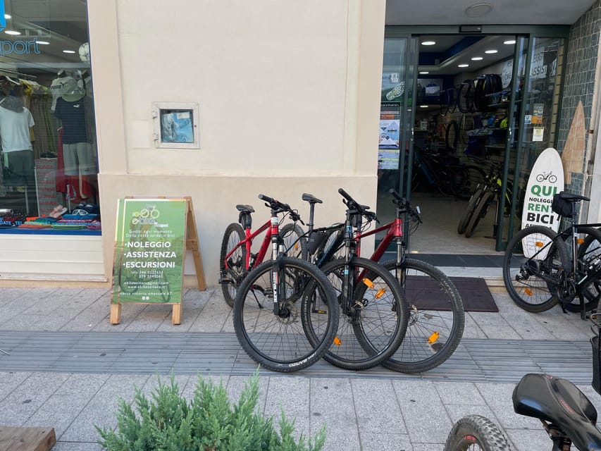 Porto Torres: Rent Your Mountain Bike to Discover Asinara - Activity Overview and Pricing