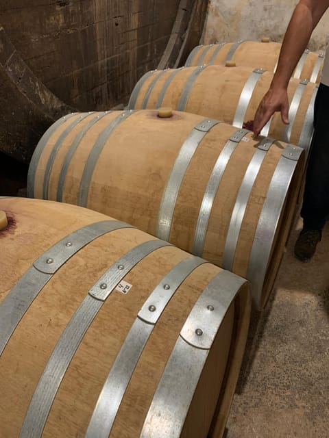 Private Tour: Wine and Tapas, Experience Real Mallorca