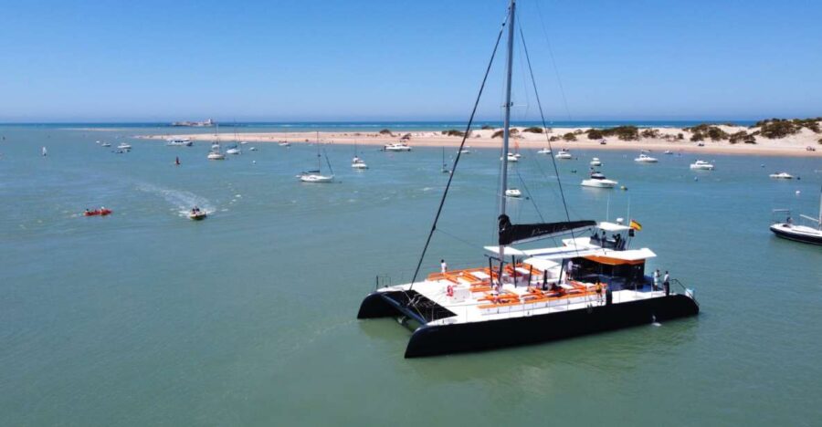 Sancti Petri: Catamaran Cruise With Swim Stop and Lunch